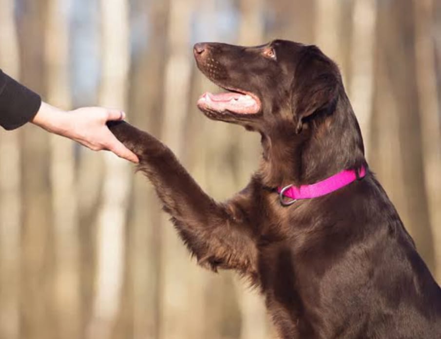 WhatsApp Image 2025-08-29 at 16.24.54 (1).jpeg